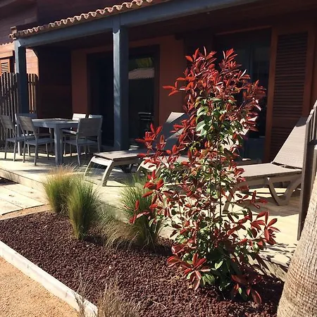 Saint Pierre Grimaud